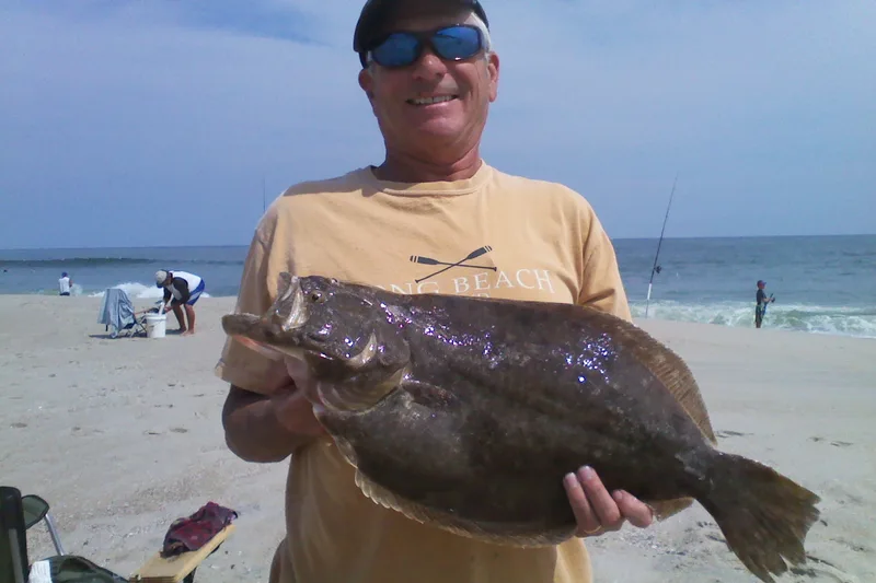 Flounder, side view