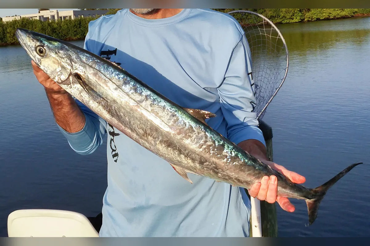 Angler holding a king mackerel