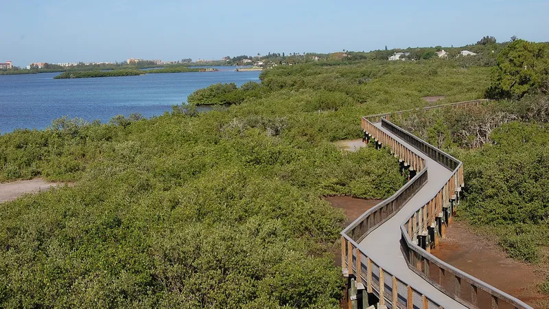 Boardwalk at Boca Ciega Millennium Park