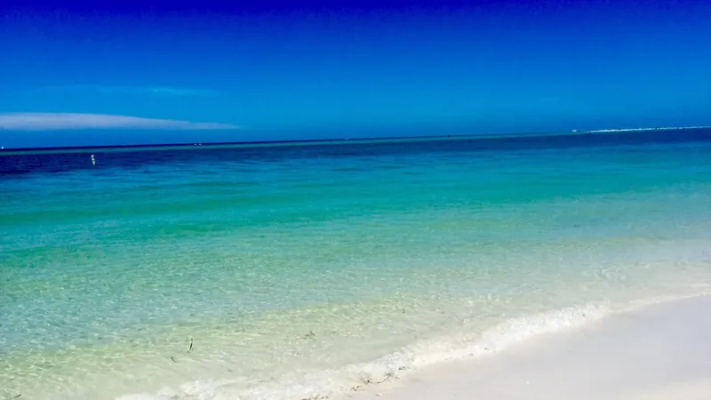 Clear Gulf water at North Beach, Fort De Soto Park