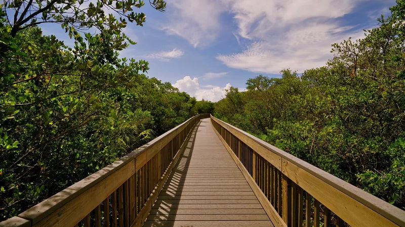 Boardwalk at Weedon Island Preserve (not the fishing pier)